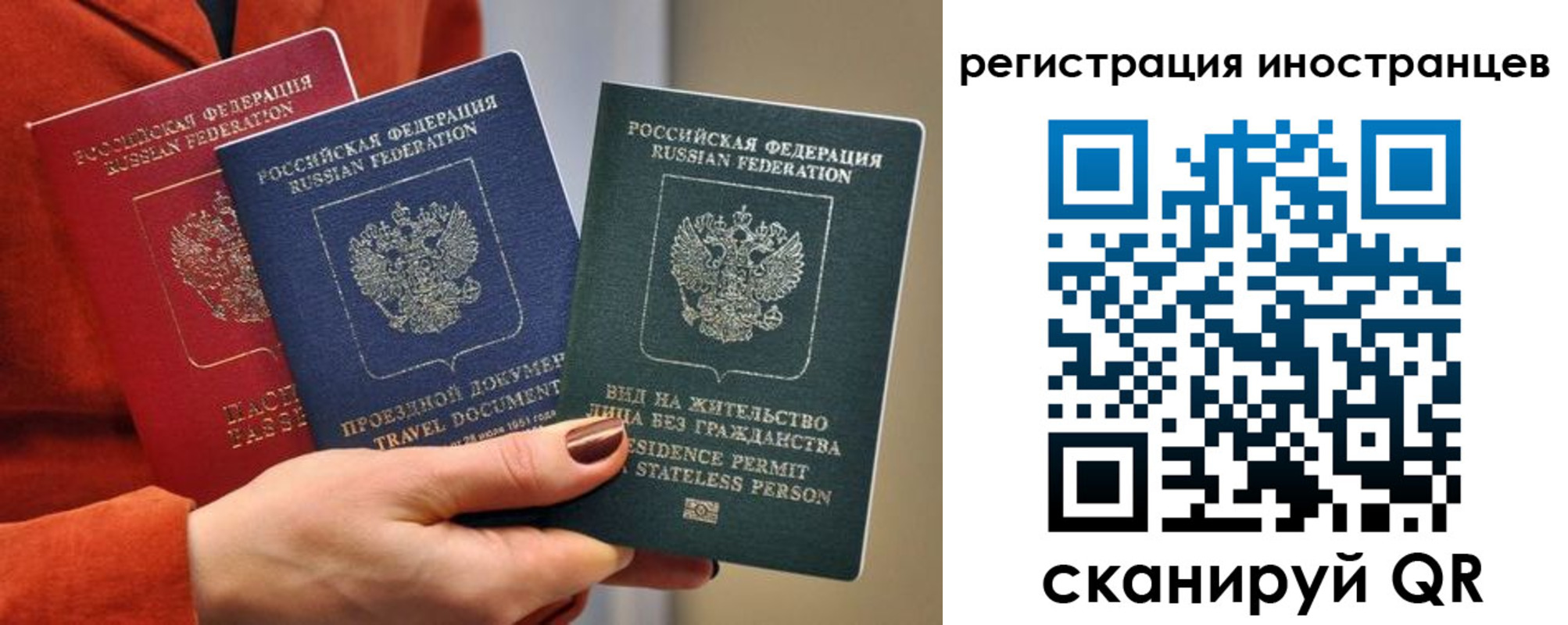 временная прописка в Коле